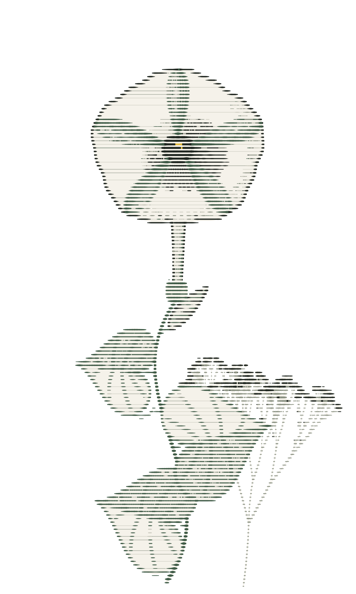 An engraved moonflower.