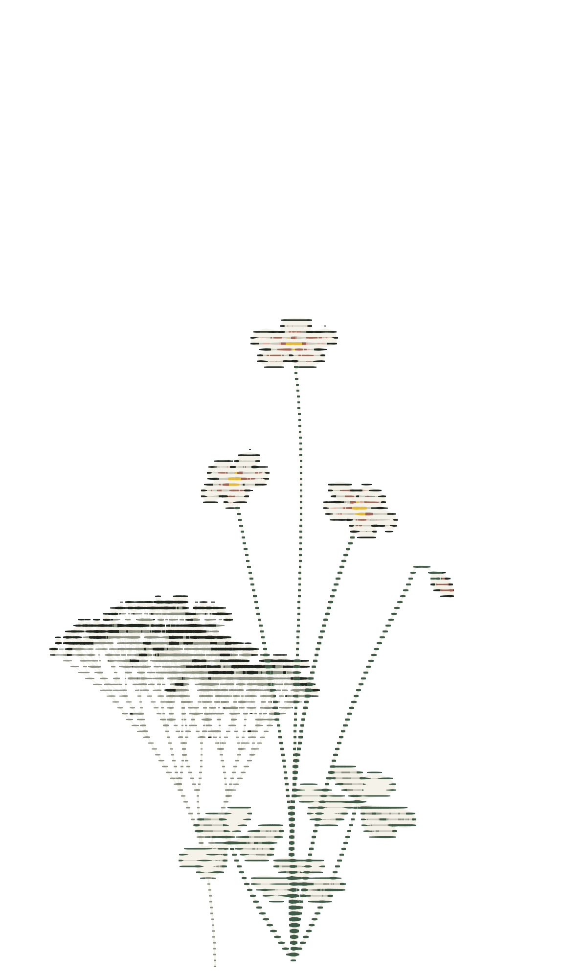 An engraved wood sorrel.